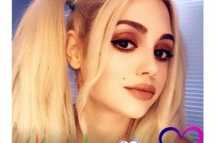 harley-quinn-wild