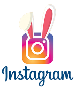 Love Bunnies Instagram Page